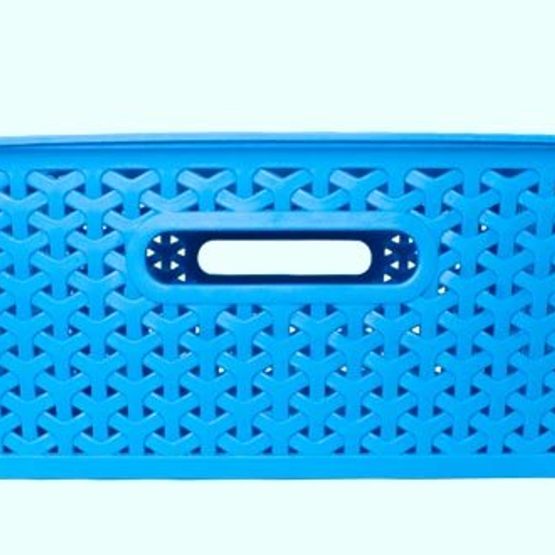 Canasto plástico 15 lt con tapa 2