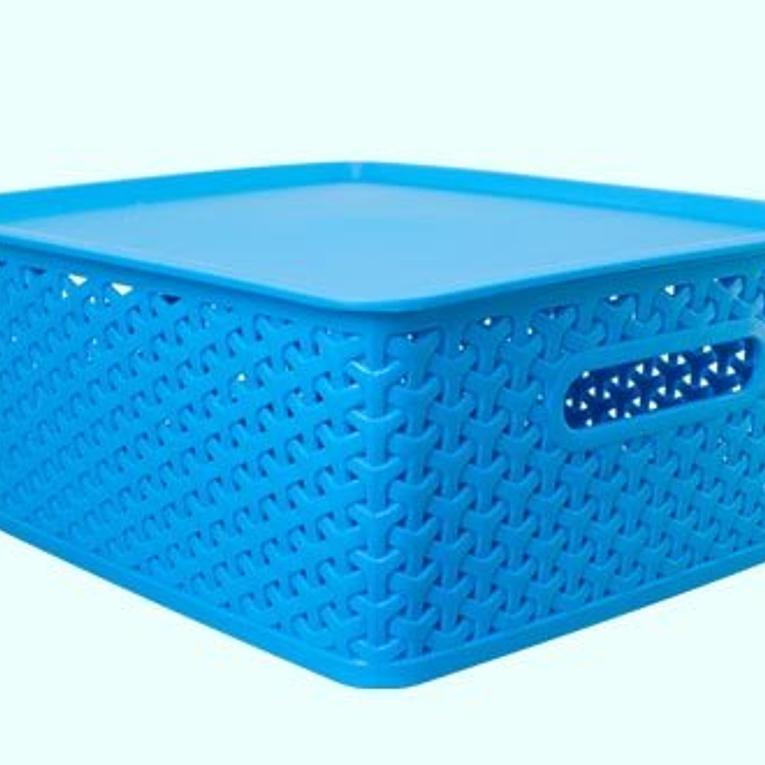 Canasto plástico 15 lt con tapa 3