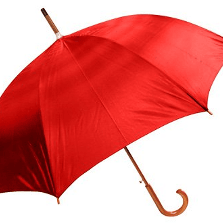 Paraguas Ejecutivo 4