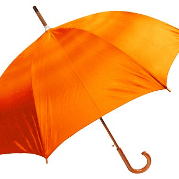 Paraguas Ejecutivo 5