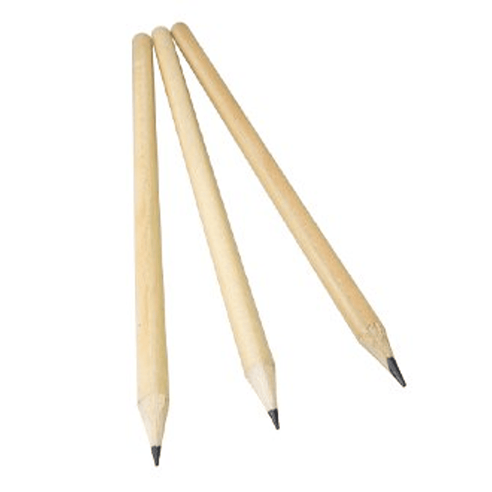 Set Escolar Ecológico 1