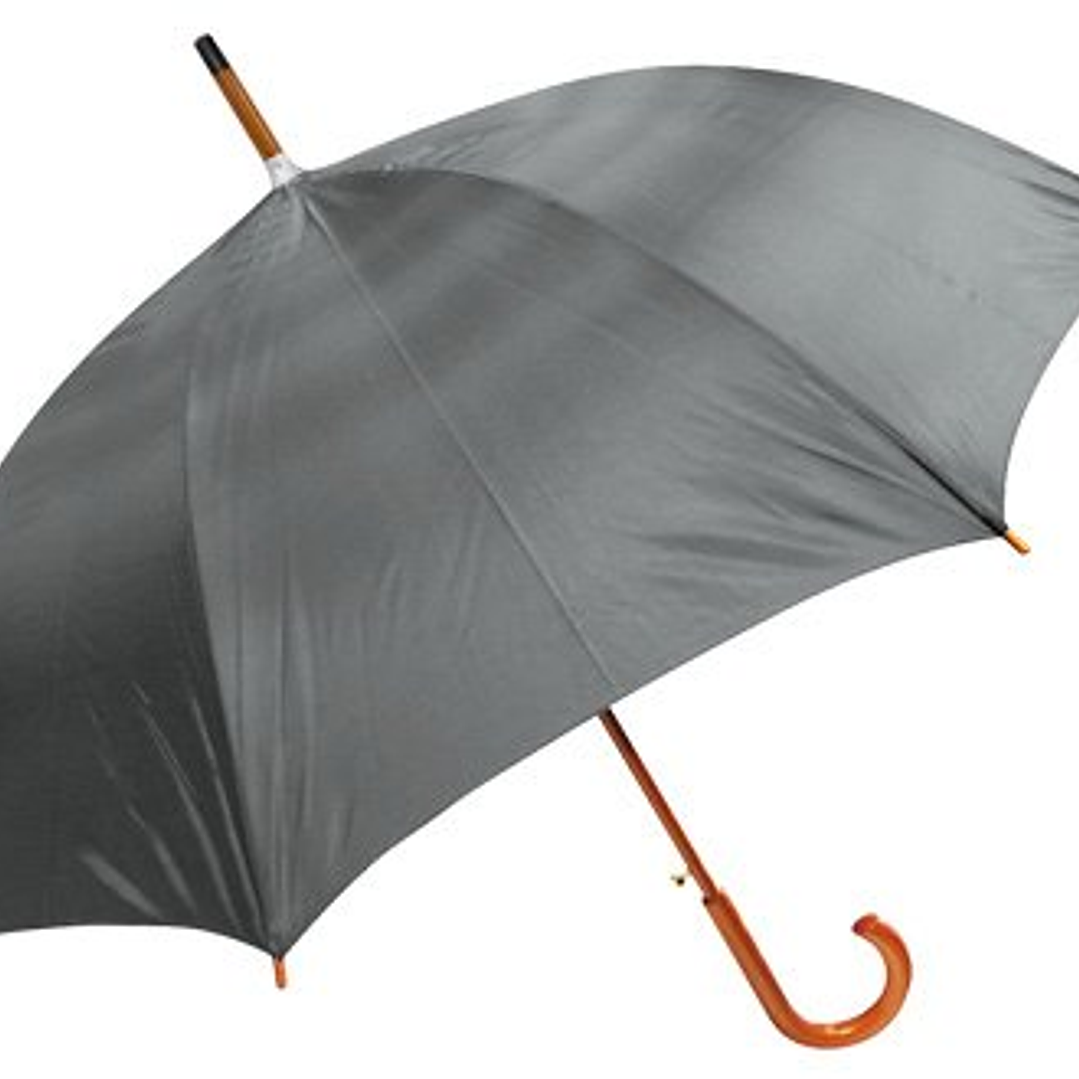 Paraguas Ejecutivo 9