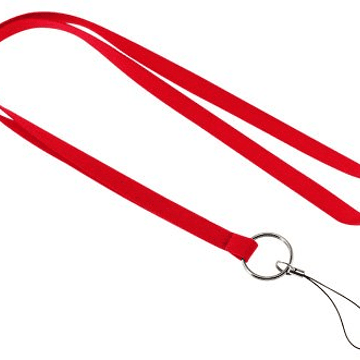 Lanyard Porta-Llavero 2