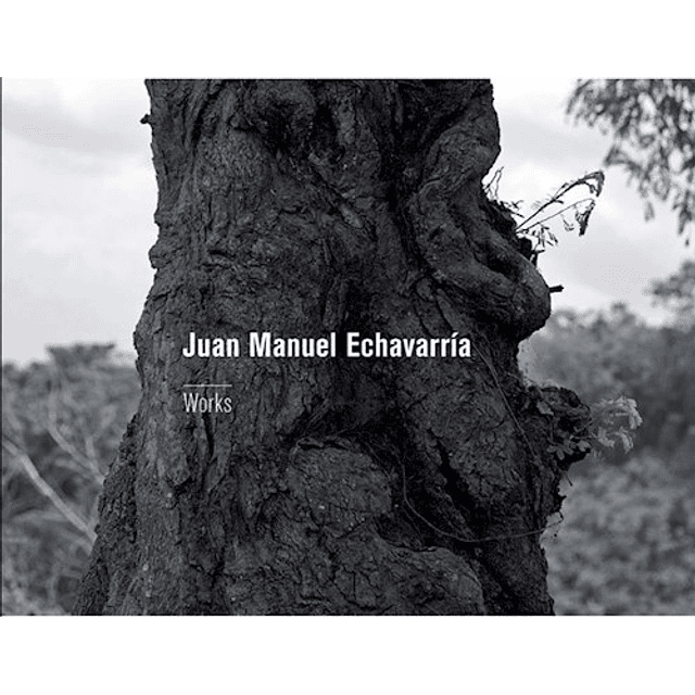 Juan Manuel Echavarria Works