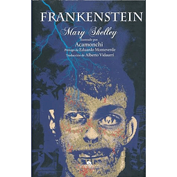 Frankenstein Arte y Letras
