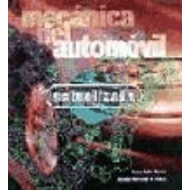 Mecanica del Automovil