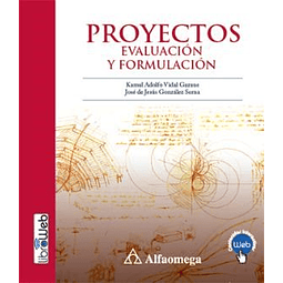 Proyectos Evaluacion y Formulacion