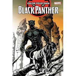 Color Your Own Black Panther De Marvel