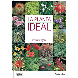 La Planta Ideal De Lucia Cane