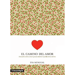 El Camino Del Amor De Eva Mengual Alexandri