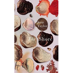 The Shore