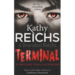 Terminal