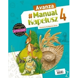 Manual 4 Avanza Bonaerense