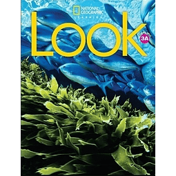 Look 3 Combo Split A With Pac Online Workbook