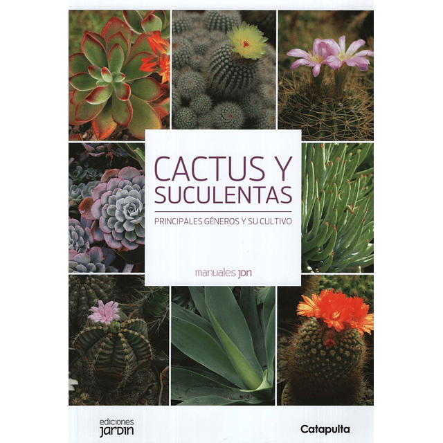 Cactus Y Suculentas