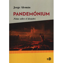 Pandemonium Notas Sobre El Desastre Jorge Aleman