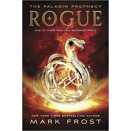 Rogue The Paladin Prophecy