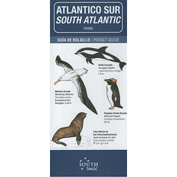 Atlantico Sur South Atlantic Fauna Guía De Bolsillo Po