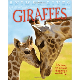 Giraffe Animal Lives