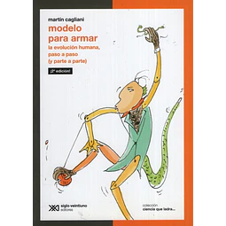 Modelo Para Armar: La Evolucion Humana Paso A Paso