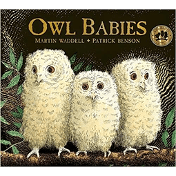 Owl Babies