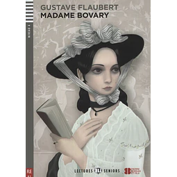 Madame Bovary Lectures Hub Seniors Niveau 4