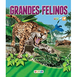 Grandes Felinos Bajo La Lupa