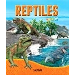 Reptiles Bajo La Lupa