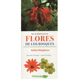 Guia De Identificacion De Flores De Los Bosques Bio