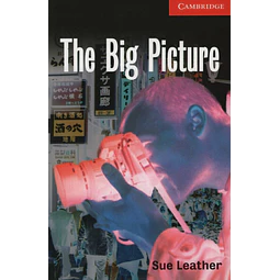 The Big Picture + Audio Cd Level 1