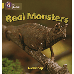 Real Monsters