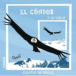 El Condor Y Su Vuelo Cuentos Naturales