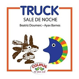 Truck Sale De Noche Colihue Tal Para Cual