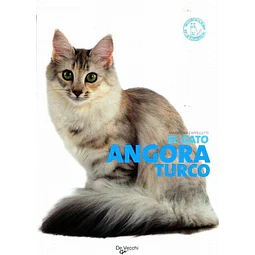 El Gato Angora Turco Mariolina Cappelletti