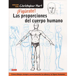 Figurate! Las Proporciones Del Cuerpo Humano Hart