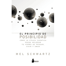 El Principio De Posibilidad Mel Schwartz