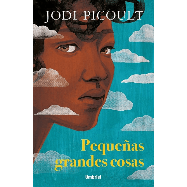 Pequeñas Grandes Cosas Jodi Picoult