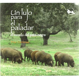 Un Lujo Para El Paladar Pilar Carrizosa Mesa
