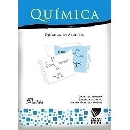 Química En Apuntes Mohina Gabriela papel 