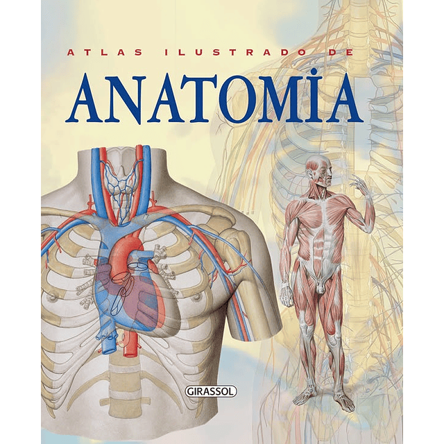 Atlas Ilustrado De Anatomia