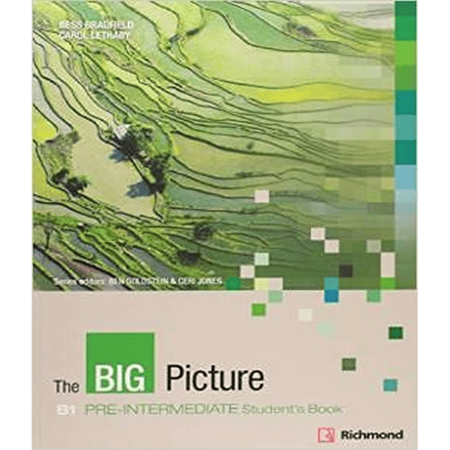 The Big Picture Pre intermediate Students Book