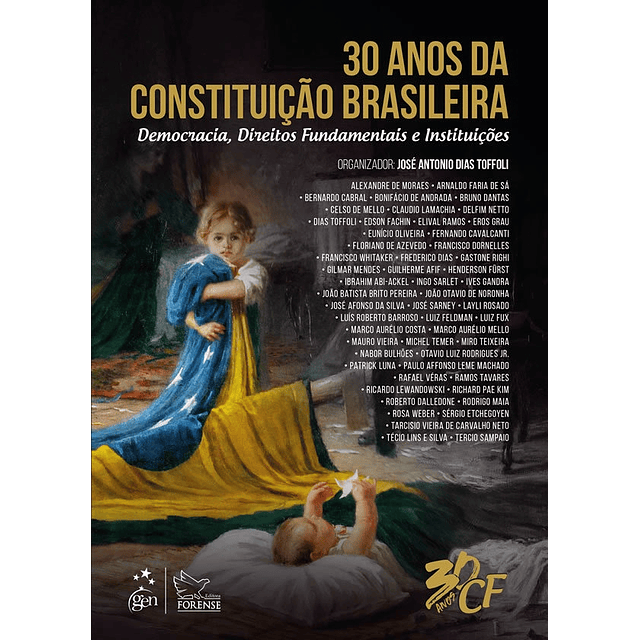30 Anos Da Constituicao Brasileira Democracia Direitos Fu