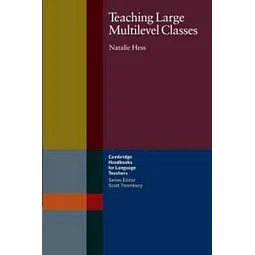 Teaching Large Multilevel Classes