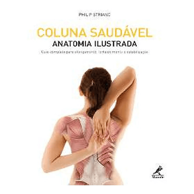 Coluna Saudavel Anatomia Ilustrada