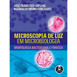 Microscopia De Luz Em Microbiologia Morfologia Bacteriana E