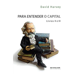 Para Entender O Capital Livros Ii E Iii