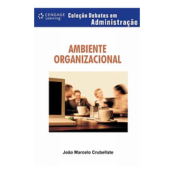 Ambiente Organizacional