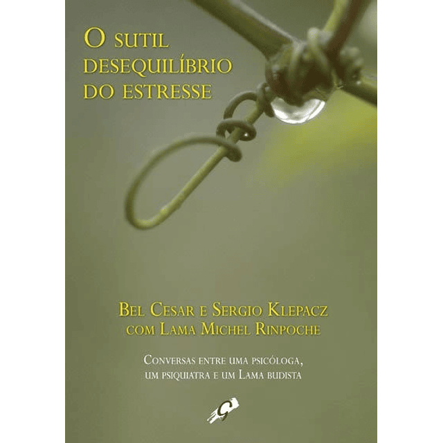 O Sutil Desequilíbrio Do Estresse Conversas Entre Uma Psic