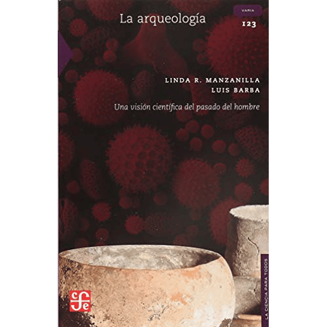 Libro ARQUEOLOGIA UNA VISION CIENTIFICA DEL PASADO DEL HOMBR