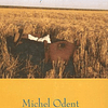 Libro El Granjero y el Obstetra De Michel Odent CREAVIDA